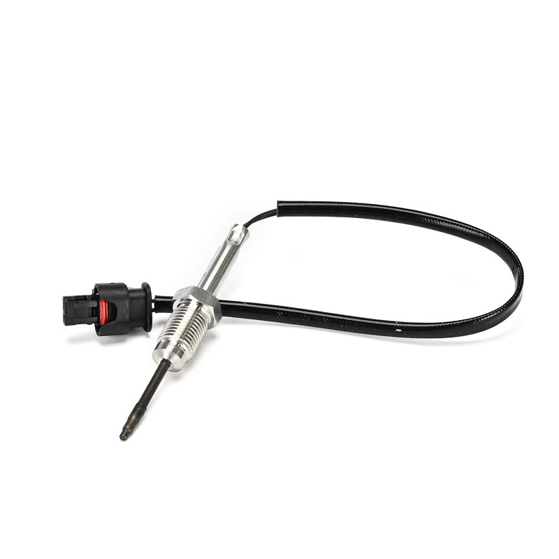 DELPHI Sensor, temp. gas escape (TS30363-12B1) para BMW 5 Touring (F11) 525 d xDrive (155 KW / 211 CV / de 2013)