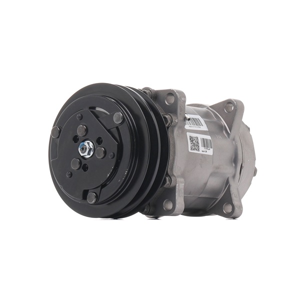 OEM 0443733910 RIDEX REMAN Compresseur de climatisation 447K1236R pour FORD, FIAT, VOLVO, LADA, LAMBORGHINI