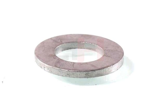 OEM 694619 GH Washer GH-391935 for VW, PEUGEOT, CITROЁN