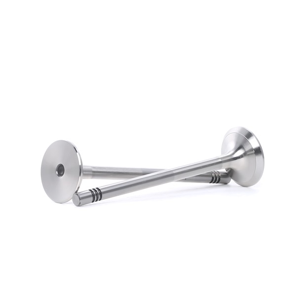 Válvula de escape FRECCIA R6198/BM para VW LUPO 2004