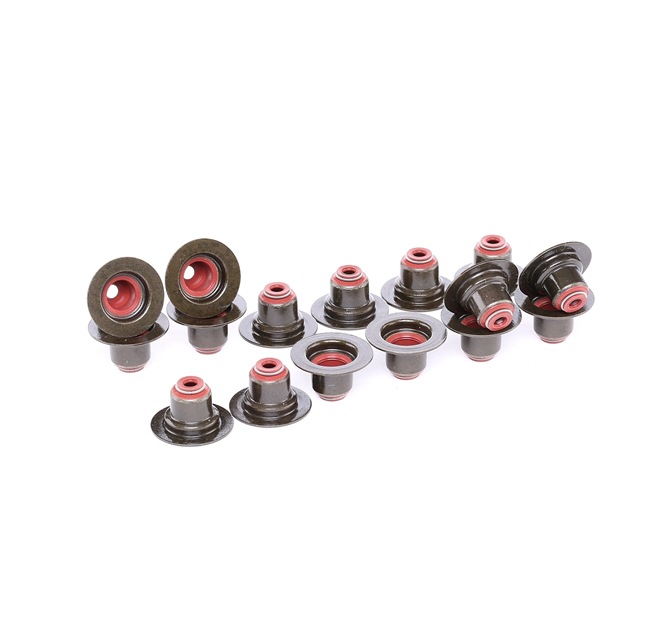 RENAULT MODUS 2013 Jeu de joints d'étanchéité, tige de soupape 57031200