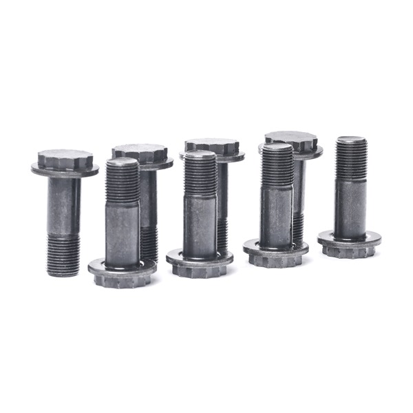 Kit bulloni, Volano LuK 411 0173 10