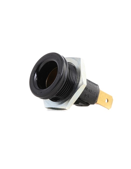 OEM 255080 BOSCH Pistorasia 0 352 222 006 varten