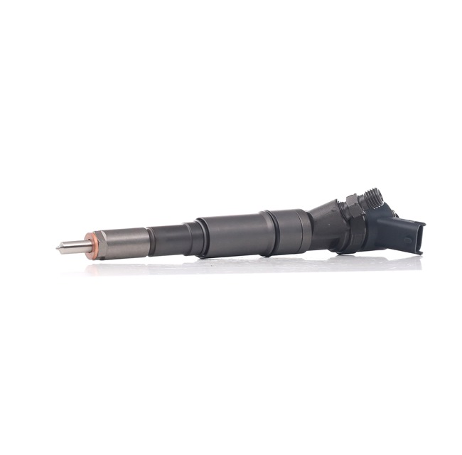 OEM 1353788573 BOSCH Ruiskutussuutin 0 445 110 266 varten ROVER