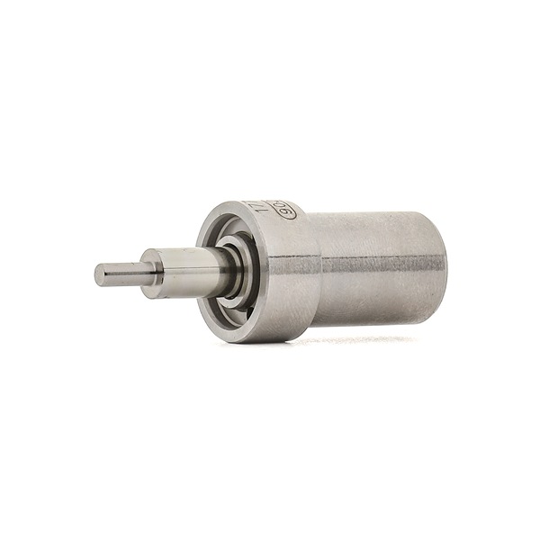 BOSCH 0 434 250 162 MASTER Düsenstock
