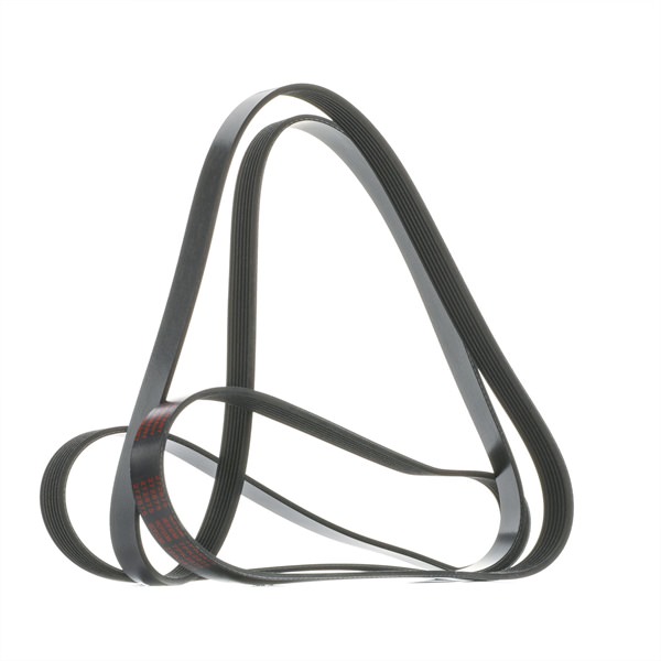 MAPCO Courroie Poly-V (272875) pour FORD Transit Mk5 Minibus (V184, V185, FD , FB , FS , FZ , FC) 2.4 TDCi (101 KW / 137 CH / de 2004)
