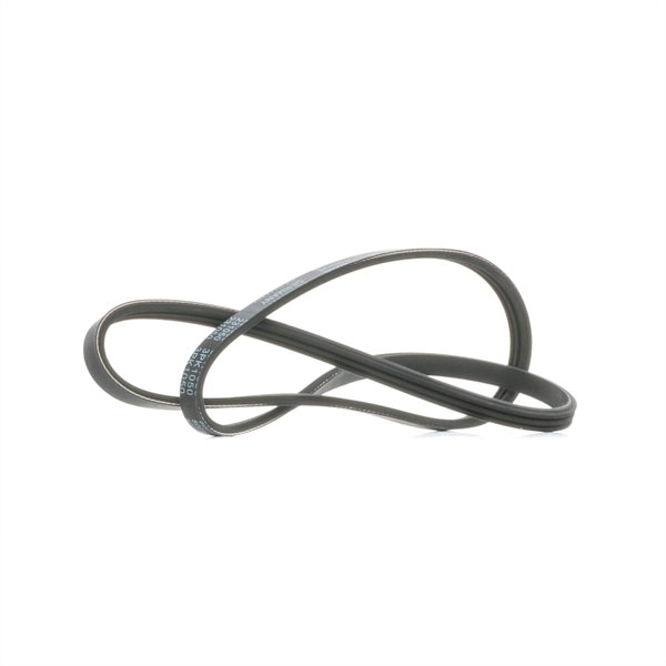 Multiriem (231050) van MAPCO Voor RENAULT CLIO II (BB0/1/2_, CB0/1/2_) 1.6 (B/CB0D, BB00) (66 KW / 90 PK / Van 1998)