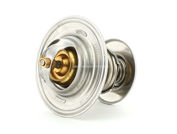 OEM 1031881 BEHR THERMOT-TRONIK  Kühlwasserthermostat TX 15 87D für VW, FORD