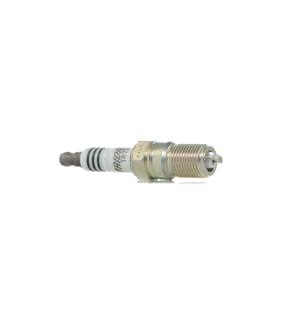 NGK Tennplugger 3690