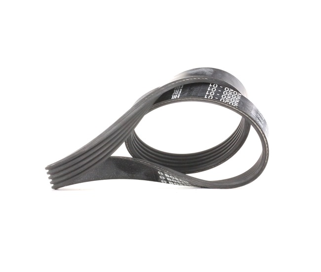 BOSCH Courroie Poly-V (1 987 946 134) pour FORD C-Max (DM2) 2.0 LPG (107 KW / 145 CH / de 2008)