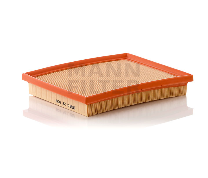 Luftfilter MANN-FILTER C 22 009