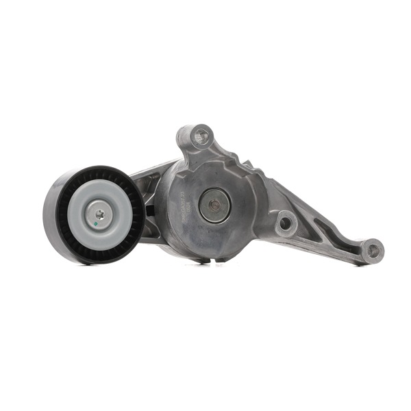 Polea tensora, correa poli V SNR GA357.23 para VW CALIFORNIA 2007