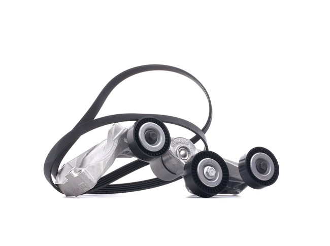 OEM 0129977592 SKF Moniurahihnasarja VKMA 38061 varten MERCEDES-BENZ