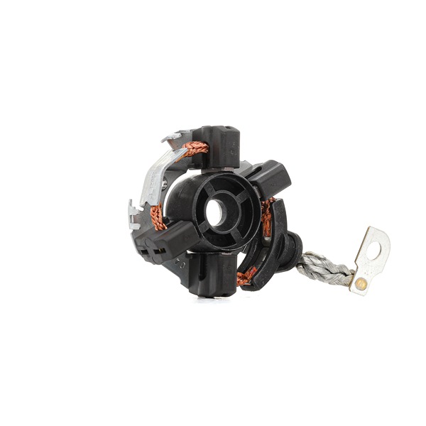 BOSCH Suporte, escovas de carvão (1 004 336 650) para VW Passat (A32, A33) 2.5 (125 KW / 170 CV / de 2011)