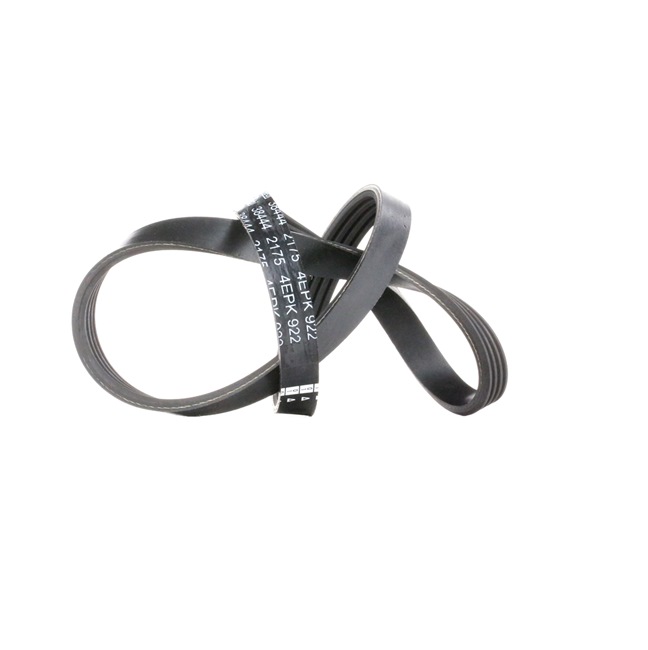 TRANSIT Cinghia servizi 38444 FEBI BILSTEIN