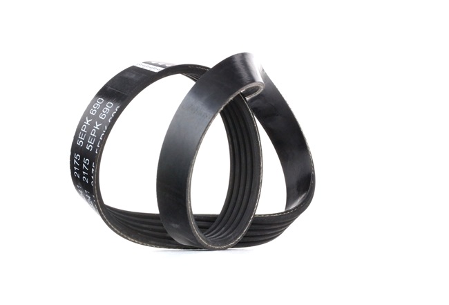 FEBI BILSTEIN Multiriem 38241