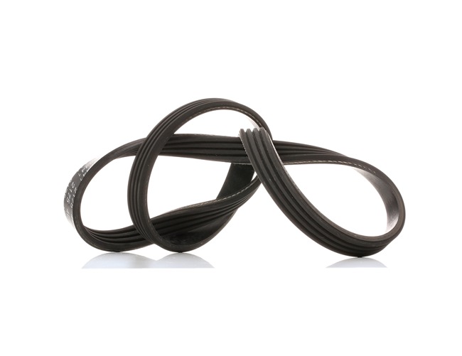 OEM 11287791786 FEBI BILSTEIN Serpentine belt 38441 for BMW, MINI