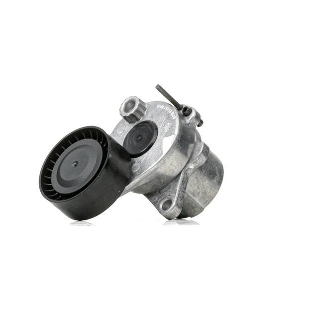 MERCEDES-BENZ C-Klasse 2012 Riemspanner, Poly V-riem 38468