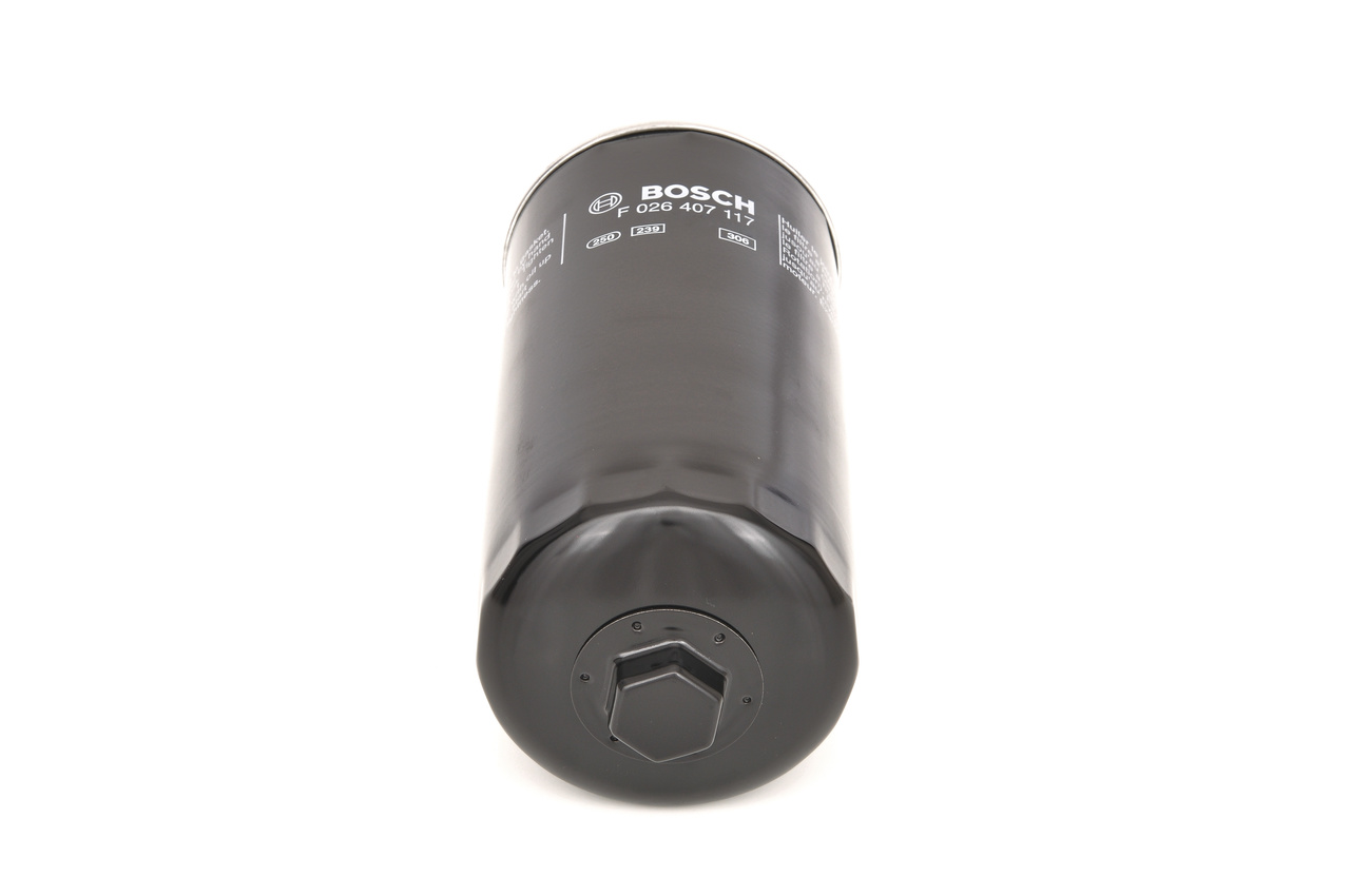 OEM LW10297295 BOSCH Öljynsuodatin F 026 407 117 varten