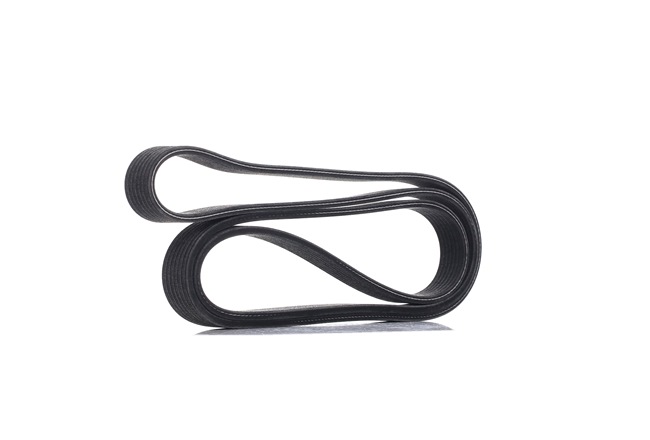 DAYCO Multiriem 7DPK2074