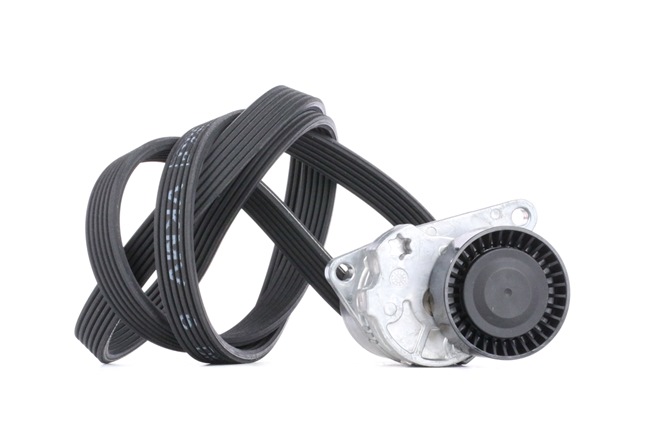 OEM 30731808 SKF Moniurahihnasarja VKMA 36226 varten VOLVO