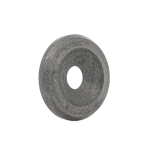 BOSCH Dichtring, Düsenhalter 1 410 501 072