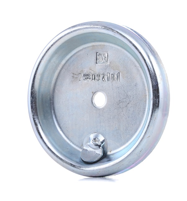 Laippalevy, ilmajousipalje DT Spare Parts 2.62054