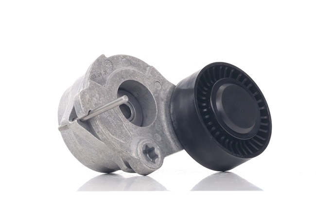 INA Spanner, Poly V-riem 534 0470 10 voor AUDI