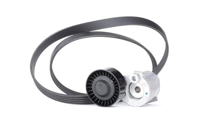 RENAULT CLIO II (BB0/1/2_, CB0/1/2_) 1.0 Flex (CB32, CB3B, CB3V, CB3W, BB32, BB3B, BB3V,... Poly V-riem set K015PK1200
