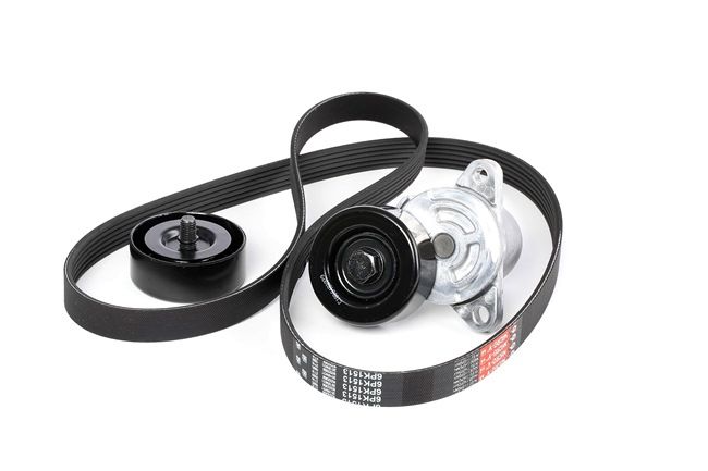 GATES Cinghia servizi K026PK1513