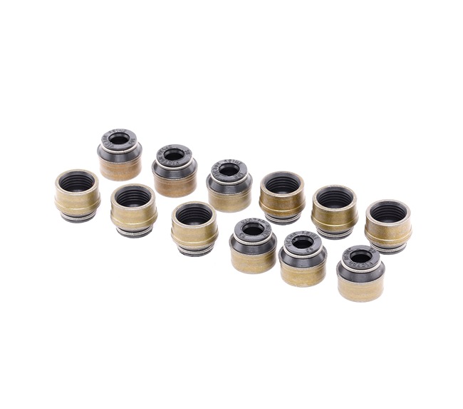 REINZ Joint de queue de soupape 12-31306-08