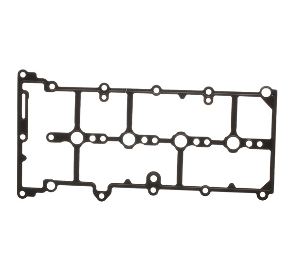 REINZ Guarnizioni 71-36262-00