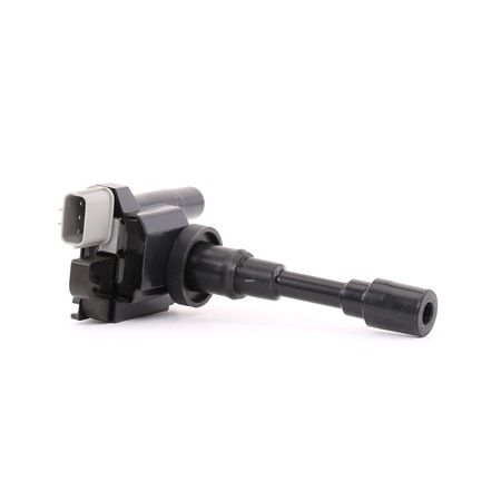 DELPHI Bobina d'accensione / bobina motore GN10318-12B1