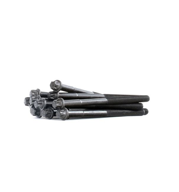 OEM 11121722021 PAYEN Syl.kannen pulttisarja HBS041 varten BMW
