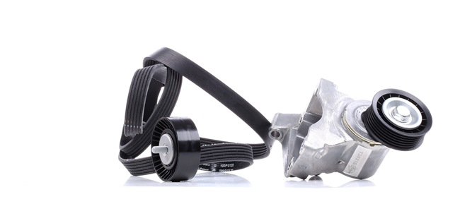 Poly V-riem set (529 0007 10) van INA Voor FORD FOCUS (DAW, DBW) 1.6 (76 KW / 103 PK / Van 2003)