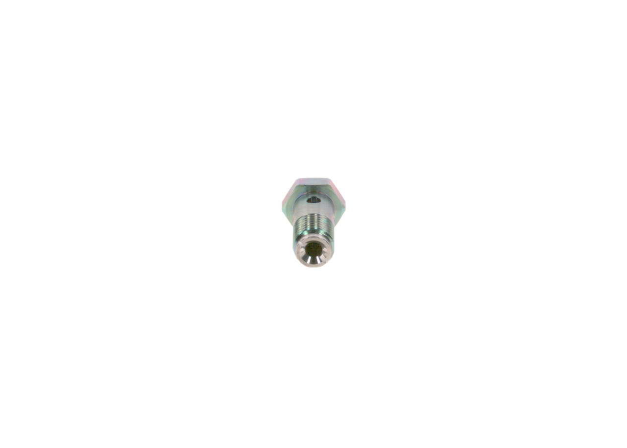 OEM 1808580 BOSCH Ruuvi 2 443 456 900 varten