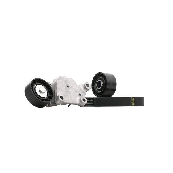 OEM Y60115980 SNR  Keilrippenriemensatz KA859.31 für PEUGEOT, TOYOTA, CITROЁN, MAZDA, VOLVO