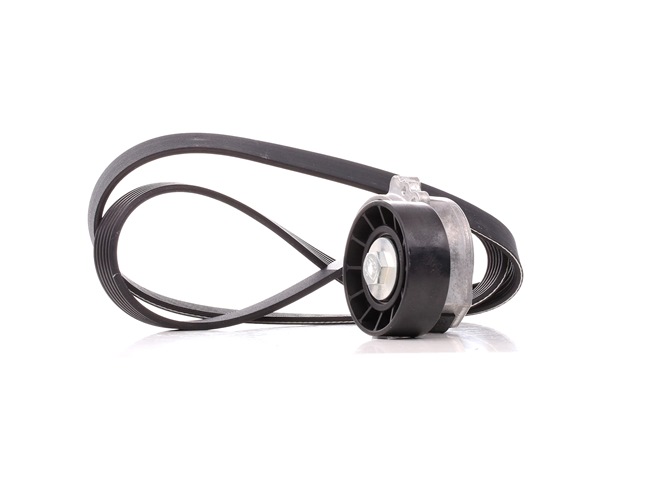 DAYCO Serpentine belt KPV179