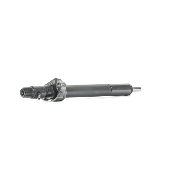 OEM 1980S3 DELPHI Verstuiverhoudercombinatie R06001D voor PEUGEOT, CITROЁN
