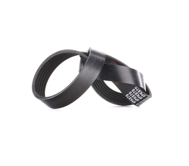 Multiriem (39802) van FEBI BILSTEIN Voor PEUGEOT 307 (3A/C) 2.0 HDi (79 KW / 107 PK / Van 2000)