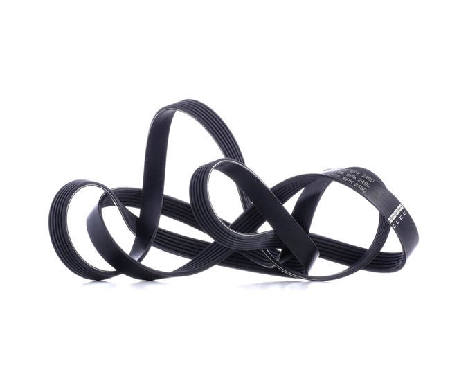 OEM 059903137T FEBI BILSTEIN Serpentine belt 39803 for VW, AUDI, SKODA, SEAT, CHRYSLER