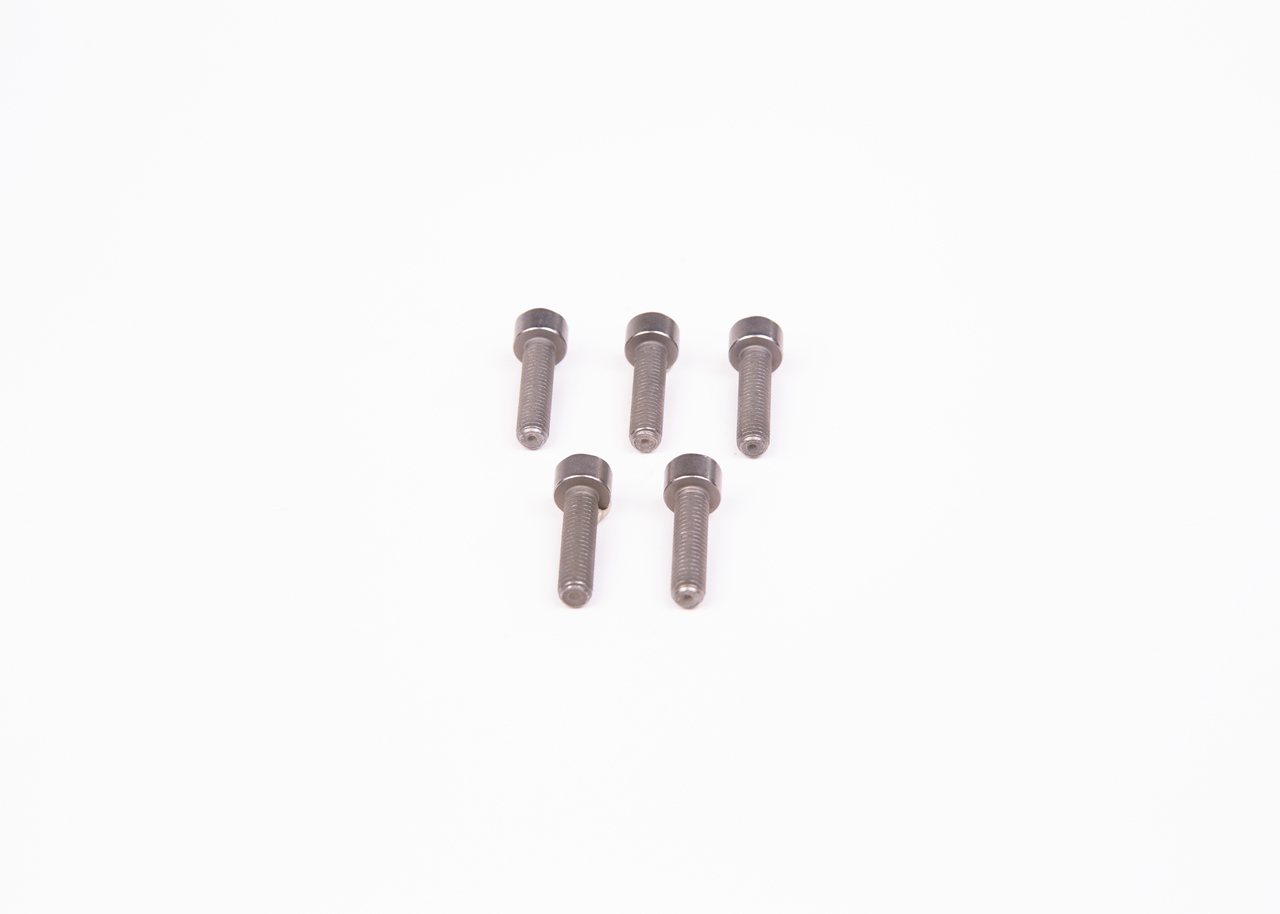 OEM 1781233 BOSCH Ruuvi F 00N 202 192 varten DAF