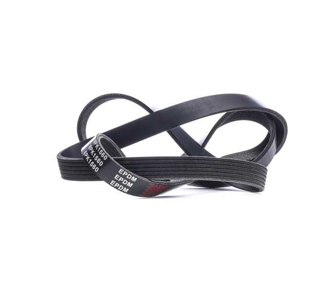 OEM 5750GZ STARK Serpentine belt SK-6PK1560 for VW, TOYOTA, PEUGEOT, CITROЁN
