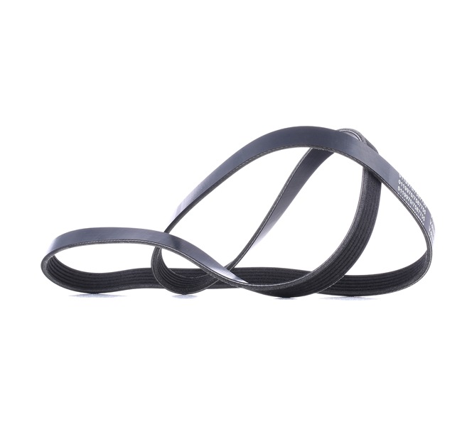 Moniurahihna (SK-6PK1555) alkaen STARK varten VOLVO V40 Hatchback (525, 526) T2 GTDi 120 HV
