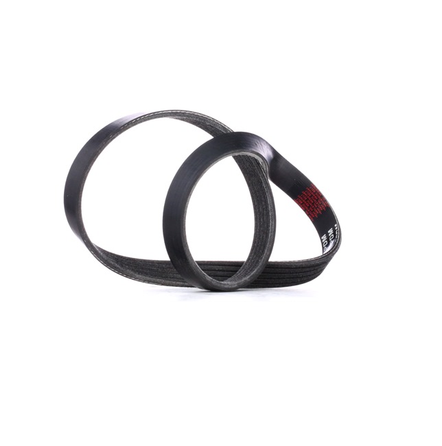 comprar Correia trapezoidal estriada - STARK (SK-5PK810)