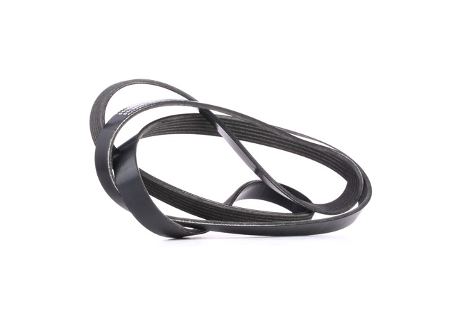 STARK Correa de alternador SK-6PK2050