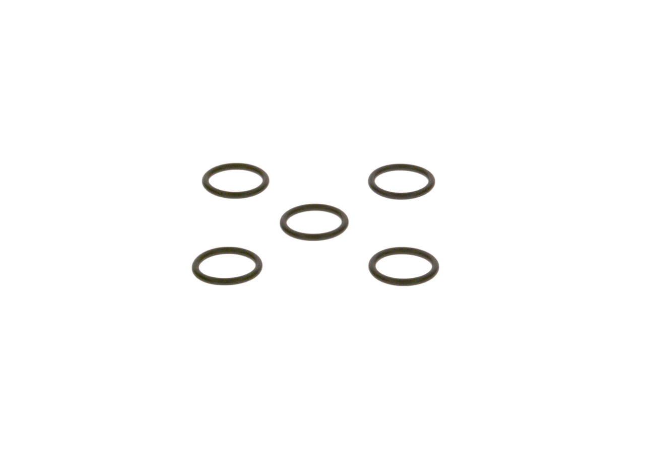 OEM 1319130 BOSCH Anello di tenuta 2 440 210 019 per