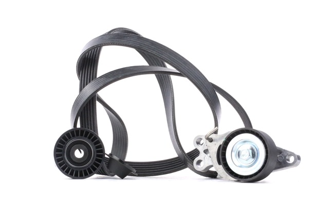 BIPPER Poly V-riem set VKMA 33302 SKF