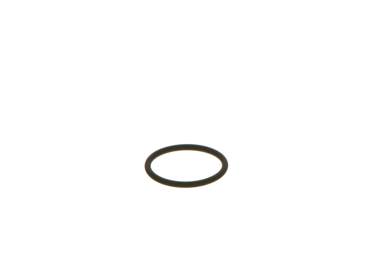 Dichtring, verstuiverhouder (F 00V D38 010) van BOSCH Voor IVECO DAILY VI Open laadbak/ Chassis 35S14, 35S15, 35C15, 40S14, 40C15, 50C15, 60C5, 65C15,... (107 KW / 146 PK / Van 2014)