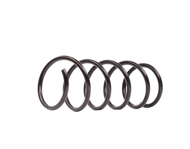 DUSTER Fjeder 4017004 LESJÖFORS